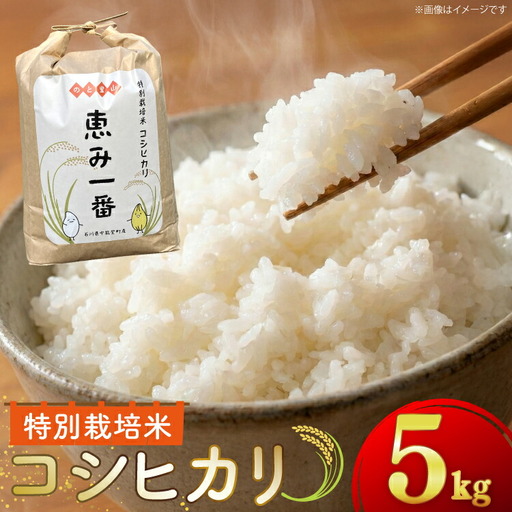 米 令和7年産 特別栽培米 コシヒカリ 5kg 精米