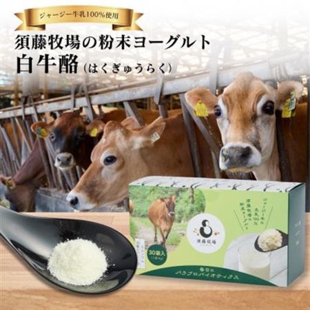 ジャージー生乳100% 完全無添加フリーズドライヨーグルト「白牛酪」【1721977】