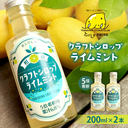 クラフトシロップライムミント 2本 果汁 シロップ ライム 割材