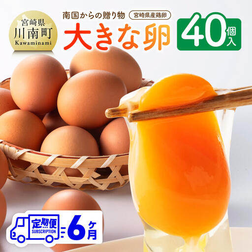 [6ヶ月定期便]宮崎県産鶏卵 「南国からの贈り物」大きな卵40個入り(35個+破損補償5個)[たまご 卵 玉子 タマゴ]