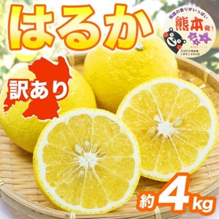 はるか みかん 訳あり 約4kg(益城町)【1723661】