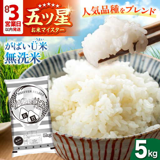 がばいU米(うまい)[無洗米] 5kg [大塚米穀店][HBL118] 米 早期発送