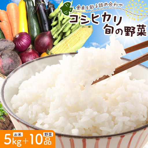 令和7年産 コシヒカリ 5kg & 旬の野菜 10品