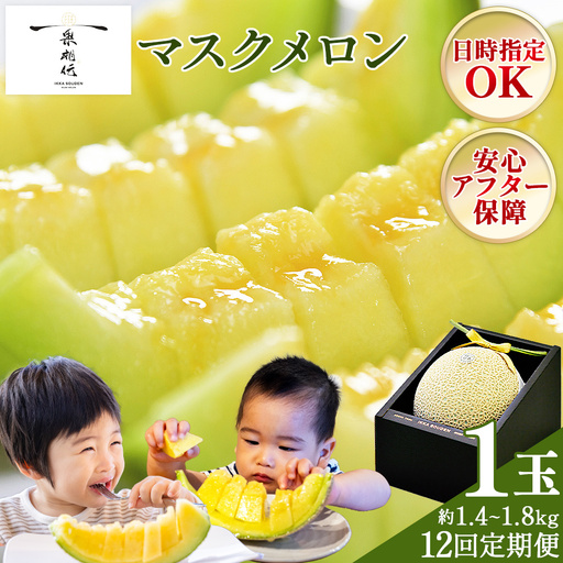 【12回定期便】マスクメロン（贈答用） 1玉入 青肉品種 高級メロン！ ／ マスクメロン 果物 フルーツ ギフト 農家直送 Wtn-0052