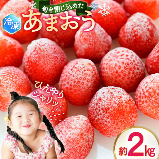 いちご 冷凍 あまおう 約 2kg