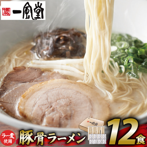ラーメン 一風堂 とんこつラーメン 白丸 ラー麦麺 スープ 12食 セット