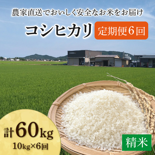 [先行予約][令和8年産 新米][定期便6回]コシヒカリ 精米 10kg(5kg×2袋)JGAP認証米 / 米 10キロ 福井県産 ブランド 一等 ご飯 白米 お米 コメ 新鮮 小分け ※2026年10月上旬より順次発送 [aw094-k002]