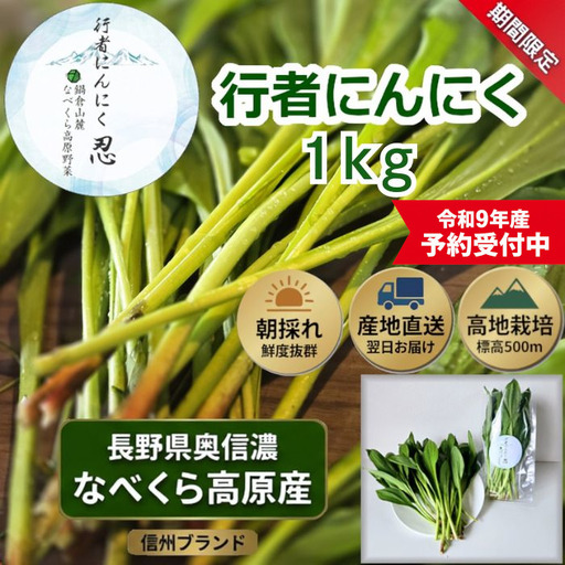 【令和9年産先行予約】行者にんにく 忍 1kg入り　1箱(140枚～150枚)《出荷時期：2027年5月中旬頃〜》株式会社ForestDoor (Ce-013)