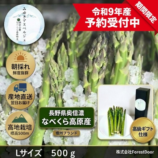 【令和9年産先行予約】アスパラガス みゆきアスペルジュ Lサイズ 500g入り(11〜13本)《出荷時期：2027年5月中旬頃〜》株式会社ForestDoor  (Ce-002)