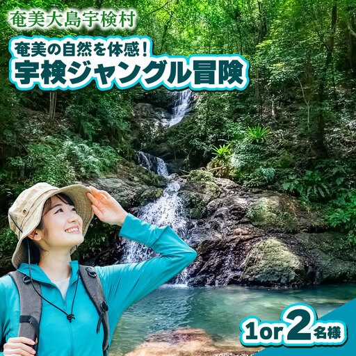 宇検ジャングル冒険 1・2名様 奄美大島 宇検村 鹿児島県 旅行 自然 冒険 完全プライベート