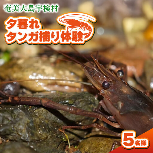 夕暮れタンガ捕り 体験 5名様 奄美大島 宇検村 鹿児島県 旅行 自然 冒険 完全プライベート