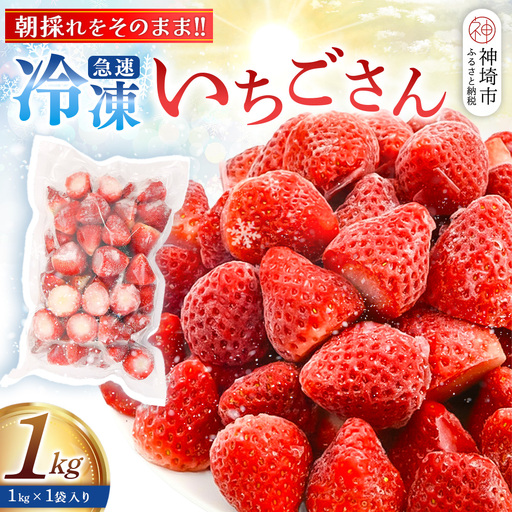 冷凍いちご 1kg(いちごさん)(H126101)