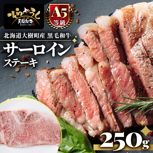 「天駆和牛(そらうし)」サーロイン ステーキ 250g A5 黒毛和牛 北海道十勝大樹町産【配送不可地域：離島】【1722135】