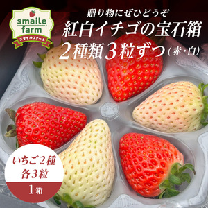 贈り物にぜひどうぞ 紅白イチゴの宝石箱 2種類3粒ずつ(赤・白)