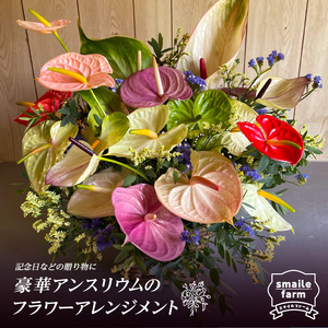 豪華アンスリウムのフラワーアレンジメント  FAF-0052
