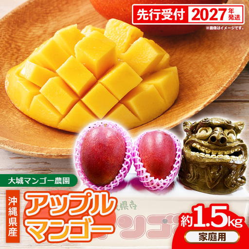 【先行受付】【2027年発送】大城マンゴー農園 マンゴー 家庭用 約1.5kg - 先行予約 アップルマンゴー 沖縄 産地直送 南国フルーツ 旬の味覚 ご自宅用 オススメ 沖縄県 八重瀬町