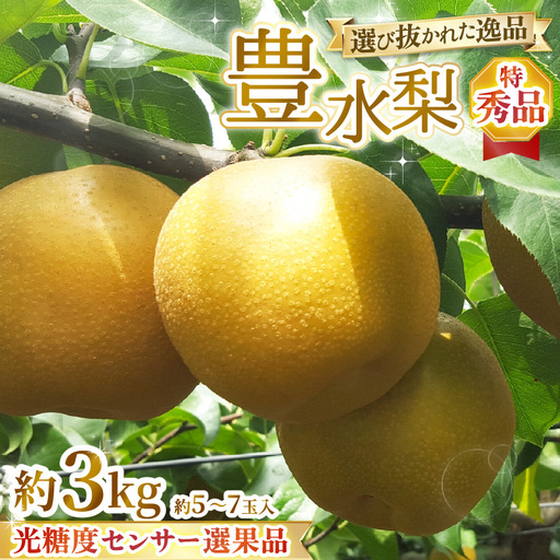 [先行予約]上野梨園の特選大玉 豊水梨『特秀品』選び抜かれた逸品 3kg 光糖度センサー選果品 梨園直送! / 期間限定 果物 フルーツ 農家直送 シャキシャキ もぎたて 旬 お取り寄せ ※2026年9月上旬より順次発送 [aw077-a029]