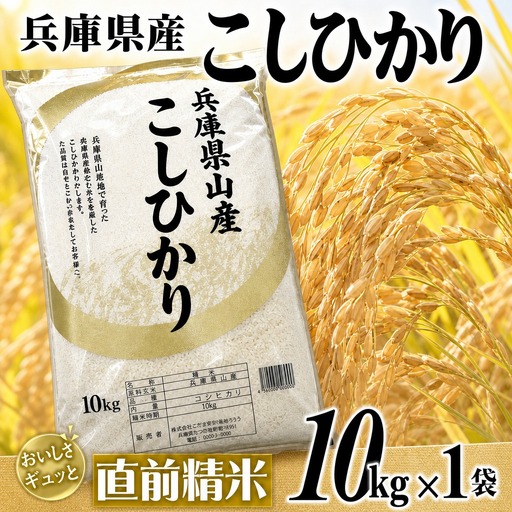 コシヒカリ 10kg 直前精米 コシヒカリ