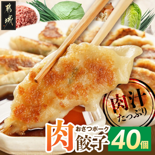 「おさつポーク」使用!肉汁あふれる肉餃子40個〔LF-14-001-40〕_(都城市) 都城産 ブランドポーク使用 冷凍