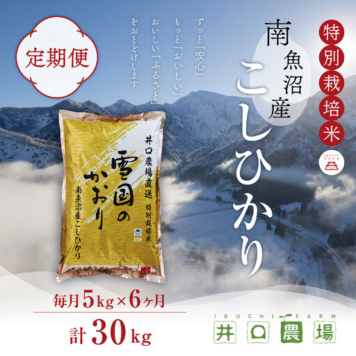 【令和７年産】【定期便】５kg×６ヶ月　南魚沼産コシヒカリ 井口農場 こだわりの 特別栽培米｜コシヒカリ