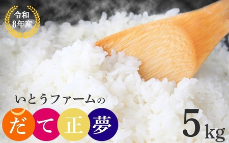 米 いとうファームの令和8年産「だて正夢」5kg【itofarm035】