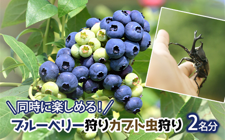同時に楽しめる!ブルーベリー狩り・カブト虫狩り 長野県下最大級 体験チケット