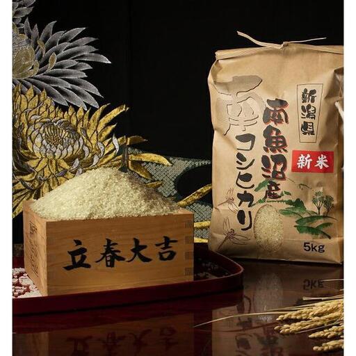 【令和8年産 新米予約 全6回定期便】南魚沼塩沢産コシヒカリ 玄米5kg×6回 新潟県の特A地区南魚沼市の美味しいお米【定期便 銘柄米 ブランド米 玄米 こしひかり コシヒカリ】【2026年11月上旬から1ヶ月以内に順次発送予定】