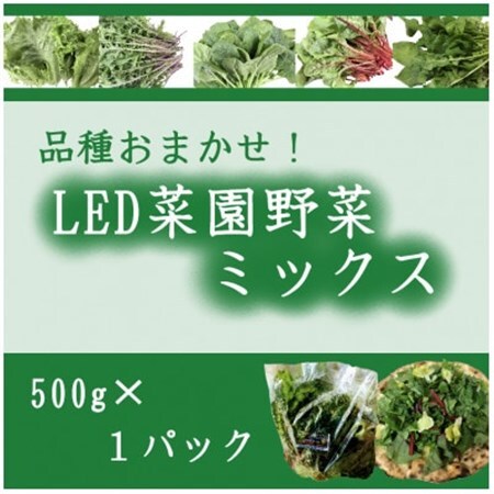 品種おまかせ!LED菜園野菜ミックス 500g×1パック【配送不可地域：離島・北海道・沖縄県・中国・四国・九州】【1668702】