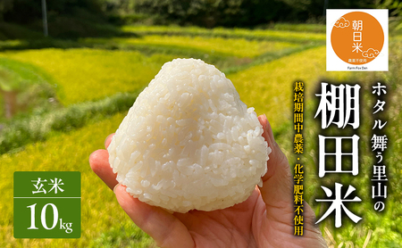 先行受付 農薬不使用 ホタル舞う里山の棚田米 玄米10kg 令和8年産 朝日2kg×5袋