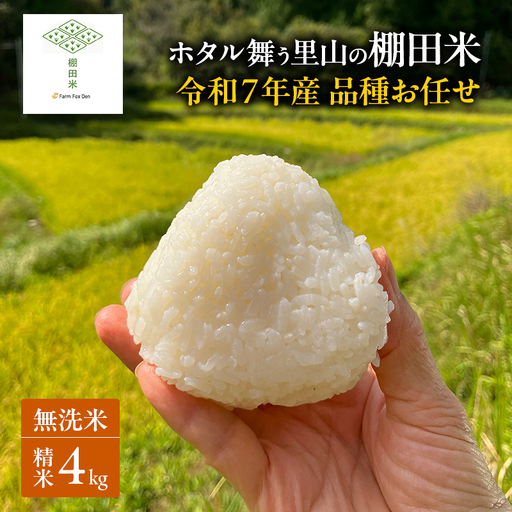 棚田米 品種お任せ 無洗米 岡山県産 棚田米【 精米 4kg(2kg×2袋)】【令和7年産】