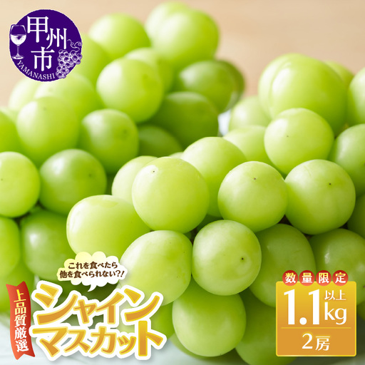 上品質厳選！！のため数量限定 これを食べたら他を食べられない！シャインマスカット 1.1kg以上（2房入り）【2026年発送】（MRN）B-1471 シャインマスカット フルーツ