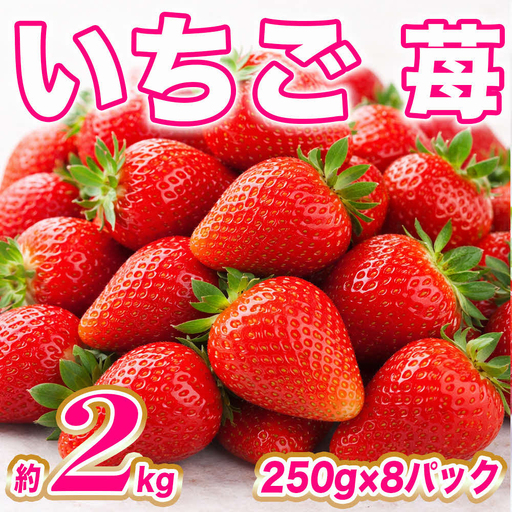 [先行予約] いちご 約2kg(約250g×8パック) 苺 果物 イチゴ [2027年1月上旬より順次発送]