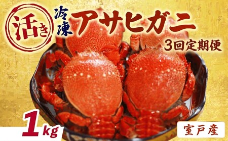 [3回 定期便 活冷凍 アサヒガニ 約1kg ] アサヒガニ あさひがに 朝日蟹 蟹 かに カニ 活冷凍 活き 生 姿 セット 詰め合わせ パスタ 味噌汁 焼ガニ 魚介類 海鮮 海の幸 産地直送 産直 旬 晩御飯 夕食 おかず 酒の肴 おつまみ 贅沢 自宅用 家庭用 お取り寄せ 美阿丸 高知県 室戸市