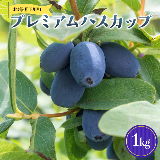 及川農園 プレミアムハスカップ 1kg