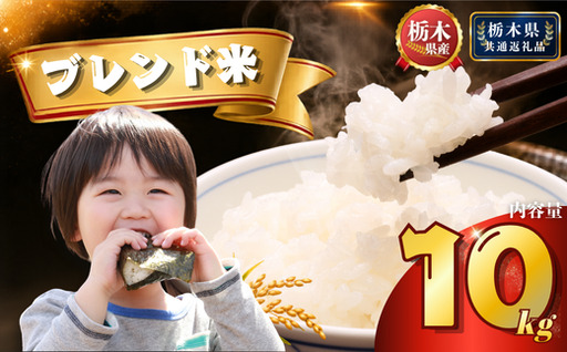 栃木県産 ブレンド米（10kg）【栃木県共通返礼品】AB | 栃木県 下野市
