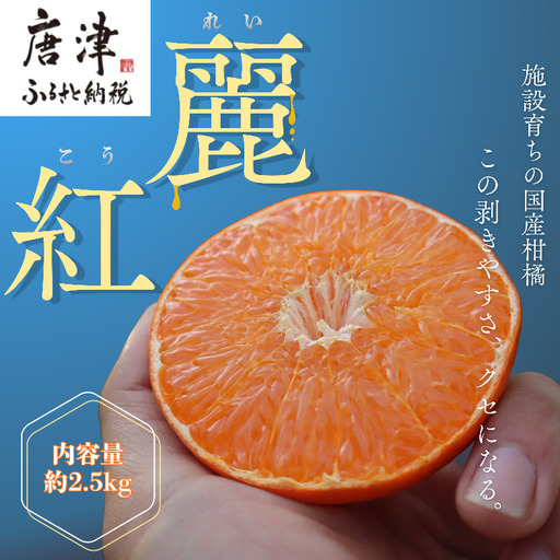 『予約受付』[令和9年1月下旬より順次発送]農家直送!施設育ちの希少柑橘 麗紅(箱込み2.5kg)