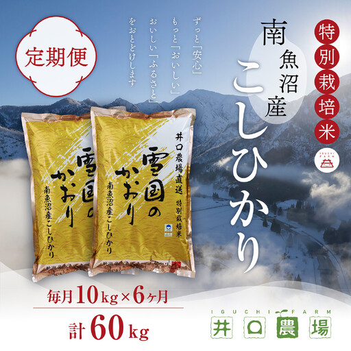 【令和７年産】【定期便】１０kg×６ヶ月　南魚沼産コシヒカリ 井口農場 こだわりの 特別栽培米｜定期便