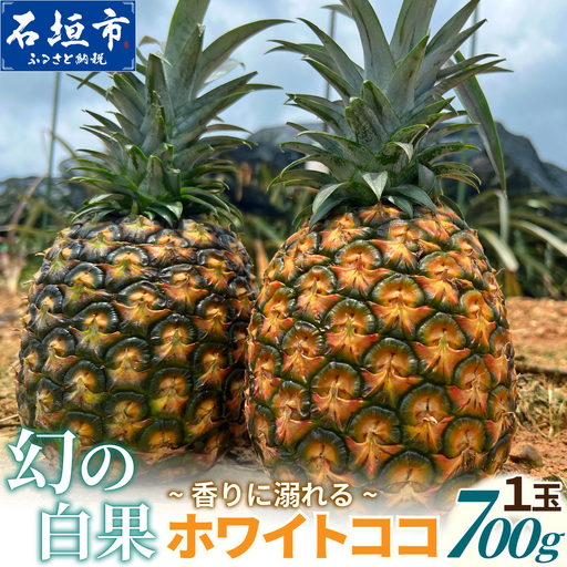 [2027年5月下旬以降順次発送]お試し用 香りに溺れる。幻の白果 ホワイトココ 1玉 (約700g)