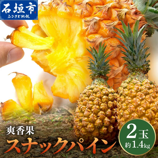 ＜数量限定＞《2027年4月上旬以降発送》お試し用 爽香果 スナックパイン 2玉 約1.4kg