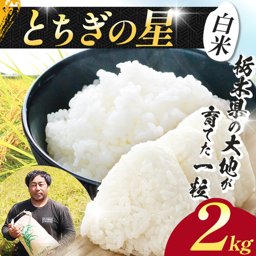 【先行予約】栃木県 下野市 とちぎの星 2kg 米