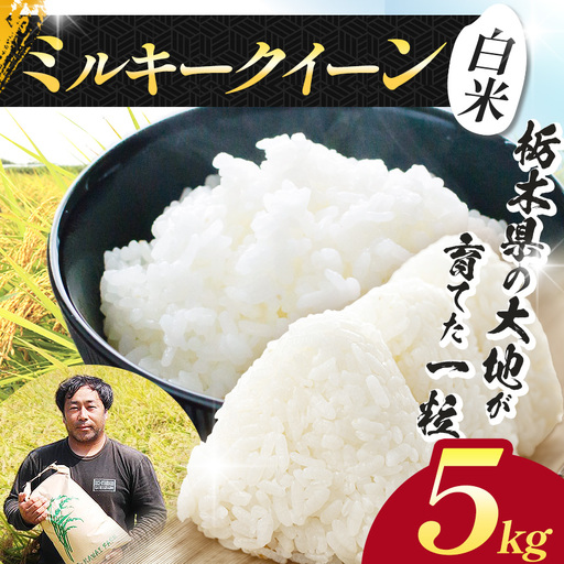 【先行予約】栃木県 下野市 ミルキークイーン5kg 米