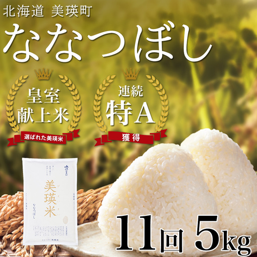【11回定期便】白米 5kg ななつぼし 皇室献上米 精米 ブランド米 定期便 