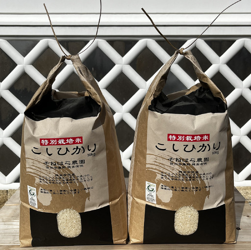 そねはら農園　【穂高有明産】特別栽培米こしひかり「精米20㎏」　