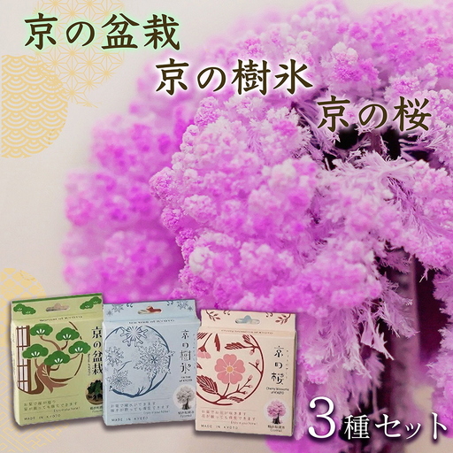 「京の桜」「京の盆栽」「京の樹氷」3種セット 紙 インテリア 日用雑貨 おしゃれ ギフト 工作 自由研究