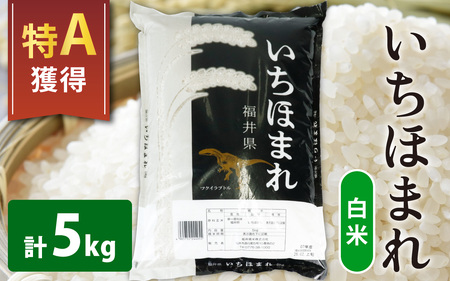【福井のブランド米】【令和8年産 新米】【特A獲得】いちほまれ 白米 5kg × 1袋
