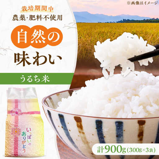 うるち米 900g（300g×3） 大阪府高槻市/高槻ナチュラルファーム[AOEY001]