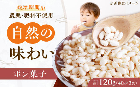 ポン菓子 お米の花びら 3個 大阪府高槻市/高槻ナチュラルファーム[AOEY002]