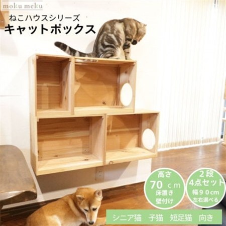 床置きタワー・壁付けキャットウォークで使えるキャットボックス　2段4点セット(左上がり)【1186736】