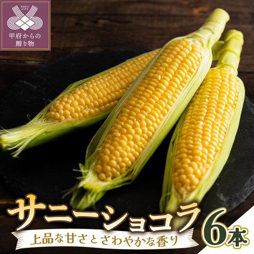 〈2027年度配送分〉【ふるなび限定】とうもろこし〈サニーショコラ〉6本入（約2.4kg）FN-Limited-SP
