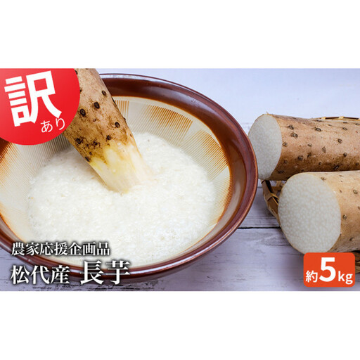 松代産長芋約5kg【地域の生産者応援の品(訳あり品)】 | 長芋